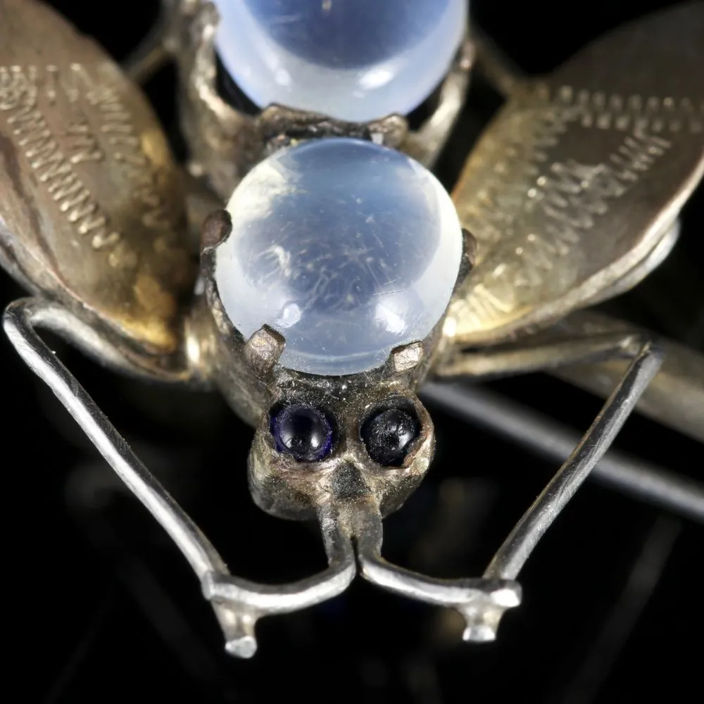 Antique Victorian Moonstone Silver Insect Brooch Circa 1900