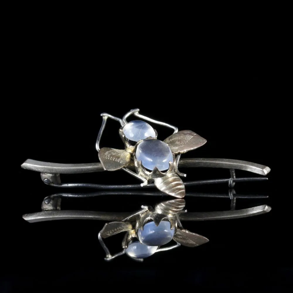Antique Victorian Moonstone Silver Insect Brooch Circa 1900