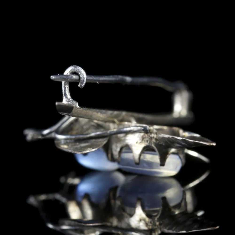 Antique Victorian Moonstone Silver Insect Brooch Circa 1900