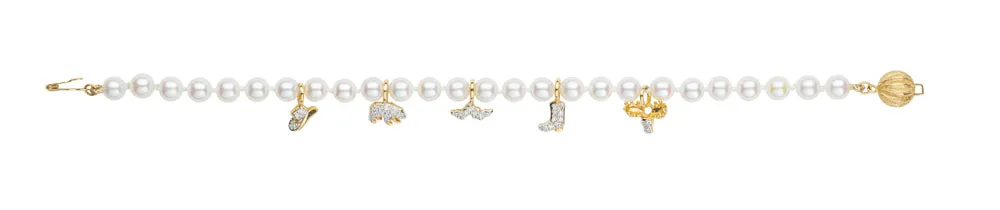 Jackson Hole Charm Bracelet