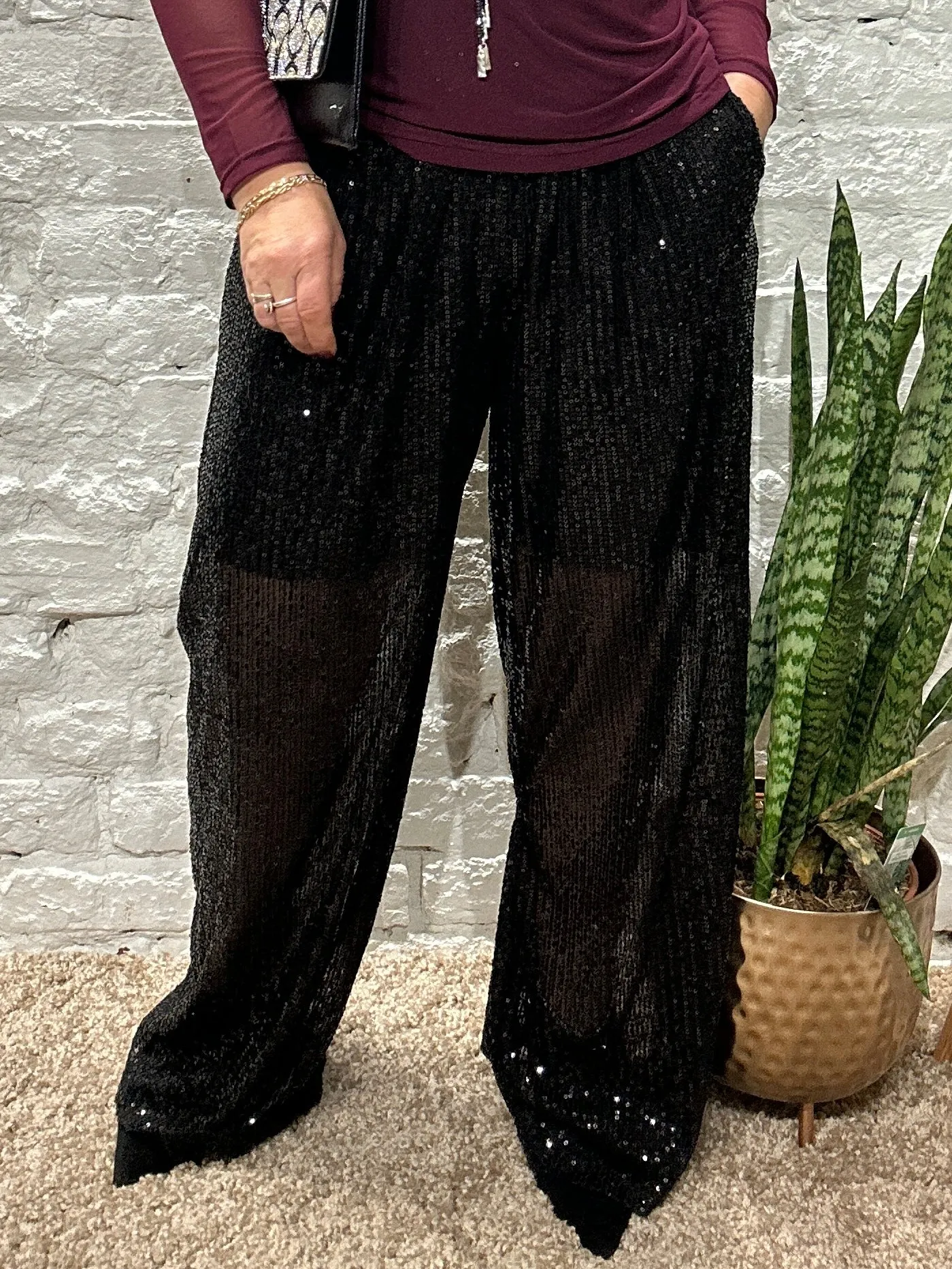 The Angel Sequin Pinch Pleat Trousers With Pockets and Elastic Waist