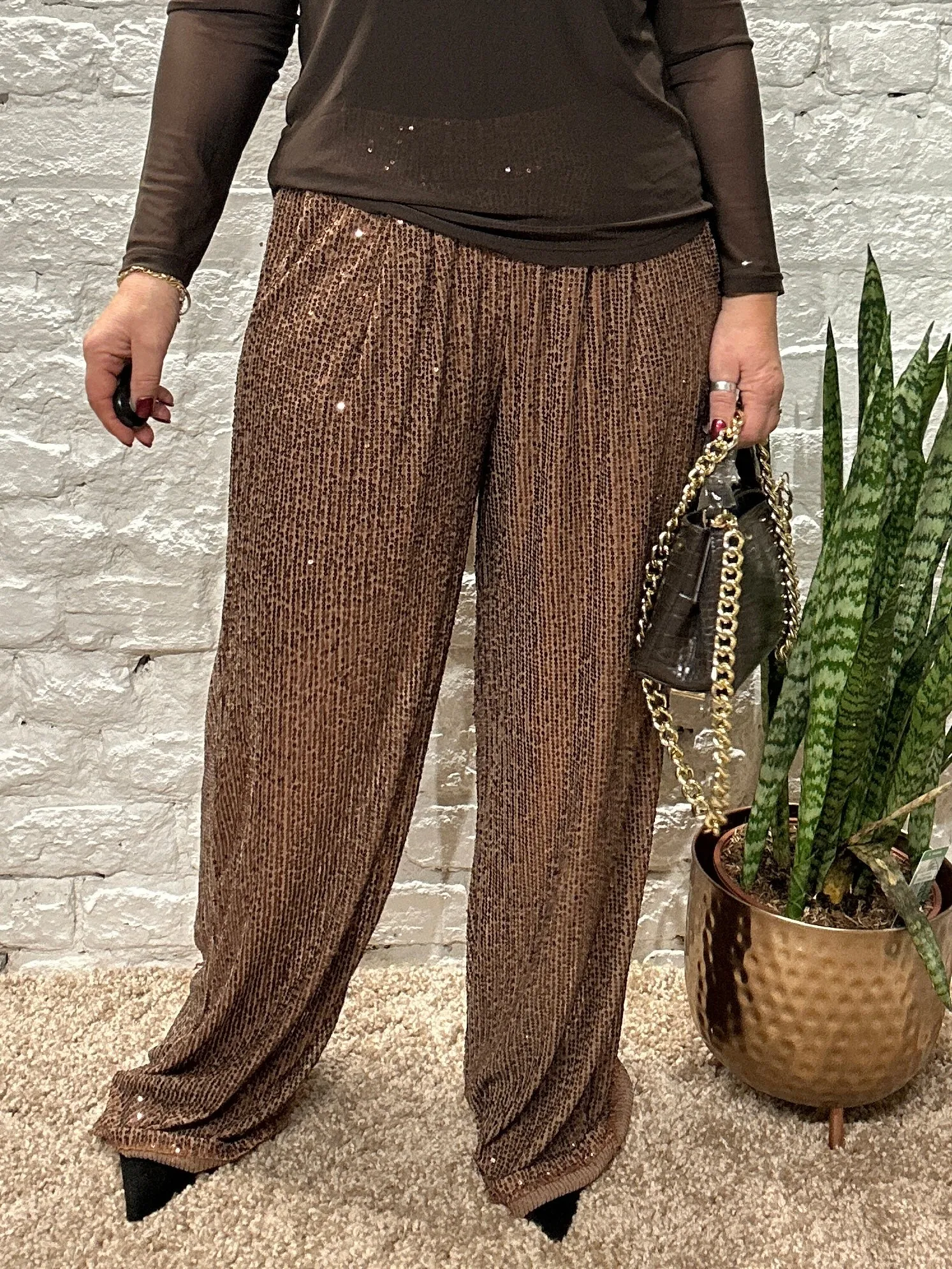 The Angel Sequin Pinch Pleat Trousers With Pockets and Elastic Waist