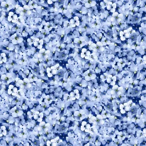 Windflower | Packed Flower - Blue by Maywood Studio | MAS10643-B