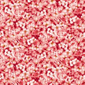 Windflower | Packed Flower - Pink by Maywood Studio | MAS10643-P